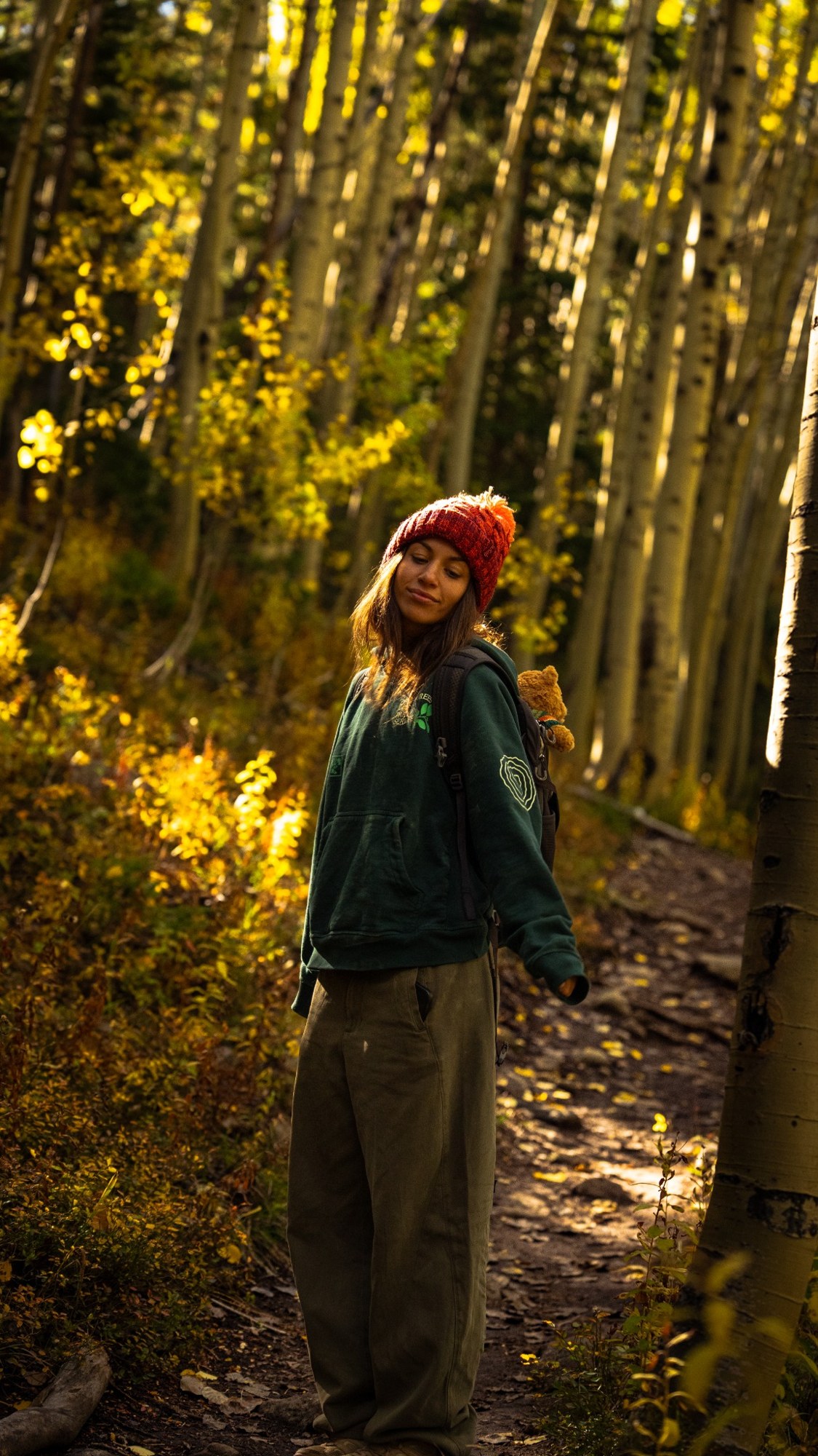 Among the aspens